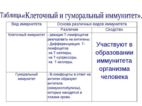 Роли и функции в структуре