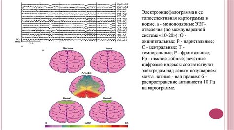 Роль КТ в диагностике заболеваний