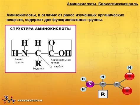 Роль аминокислоты триптофана