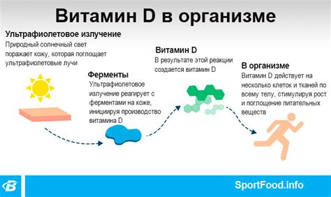 Роль витамина Д в развитии костей