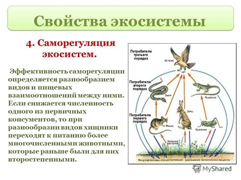 Роль воробьев в экосистеме