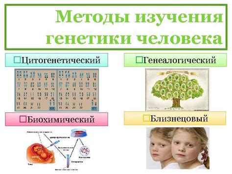 Роль генетики в формировании индивидуальности