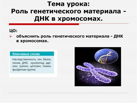 Роль генетического нейромодулятора в организме