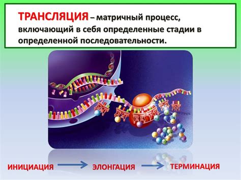 Роль генетической информации в жизни организмов