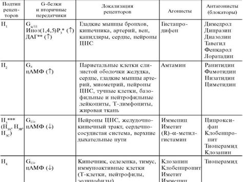 Роль гистамина в организме и его возможные проблемы