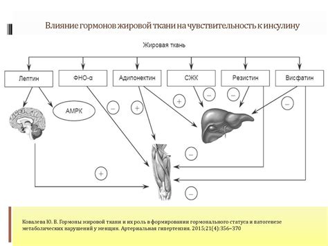 Роль гормонального фона в формировании темной зоны