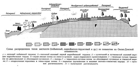 Роль гребня в ландшафтной географии