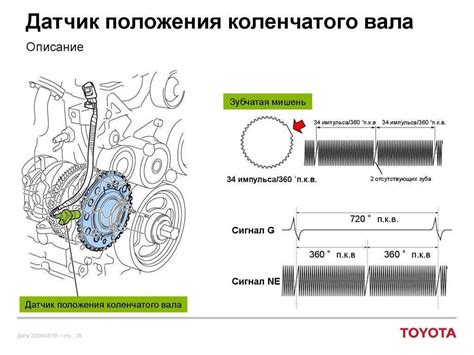 Роль датчика коленвала в работе двигателя Приоры