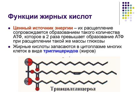 Роль жирных кислот в организме