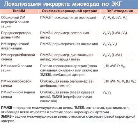 Роль задней стенки в локализации хориона