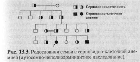 Роль имени в генеалогии собаки