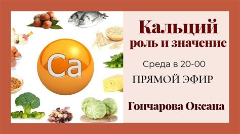 Роль кальция в организме: понимание механизмов усвоения