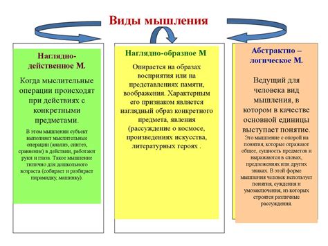 Роль мозга в интеллектуальной деятельности