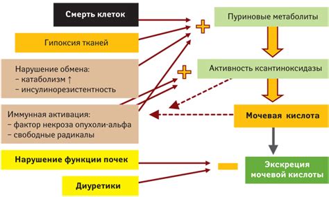 Роль мочевой кислоты в нефрологической патологии