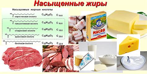 Роль насыщенных жирных кислот в организме