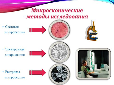 Роль образцов в сравнительных исследованиях