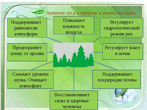 Роль окружающей среды в жизни сосны