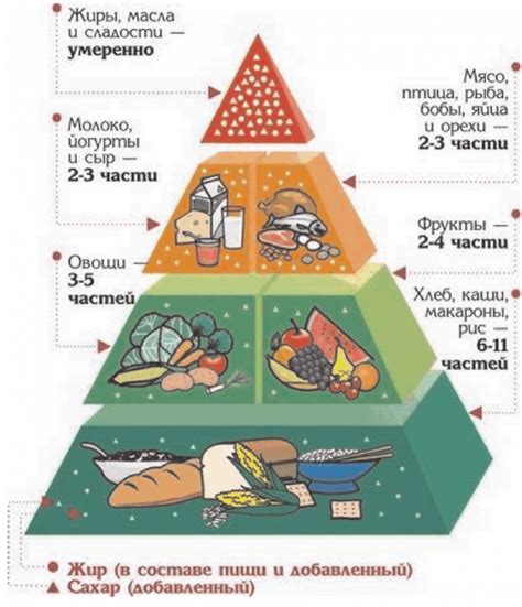 Роль питания в формировании индивидуального стиля жизни