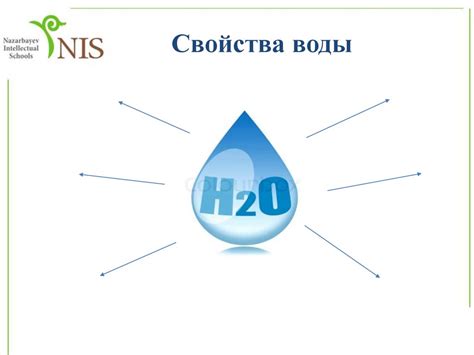 Роль простейших организмов в биологических процессах