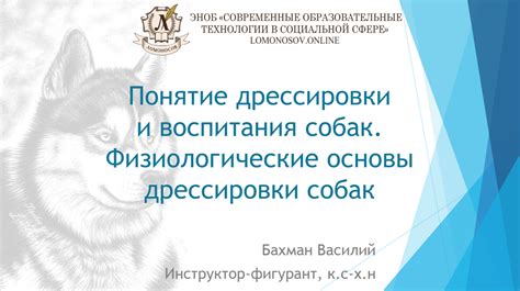 Роль психолога в процессе воспитания и дрессировки собак