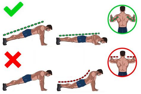 Роль спины в упражнении отжимания