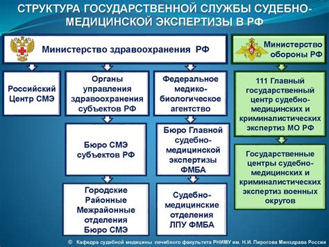 Роль судебно-медицинской экспертизы в Бобруйске