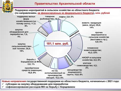 Роль федеральных займов в финансировании государственных программ