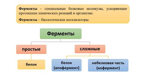 Роль ферментов в брожении