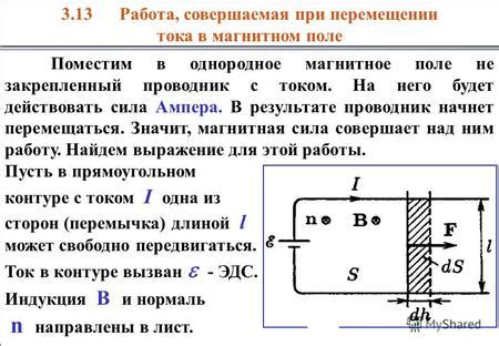 Роль цитоплазматического тока в перемещении вещества