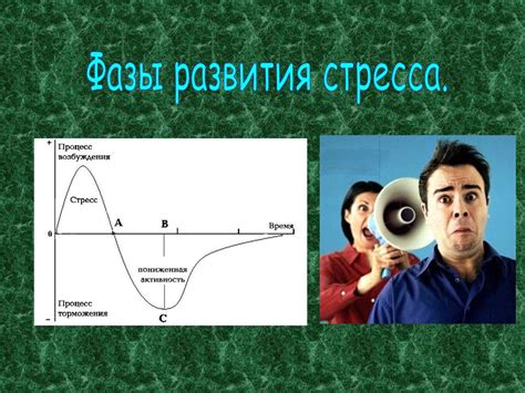 Роль шага торговли и его влияние на результаты