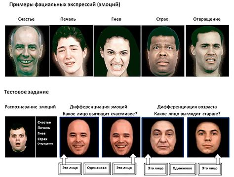 Роль эмоций в распознавании лица