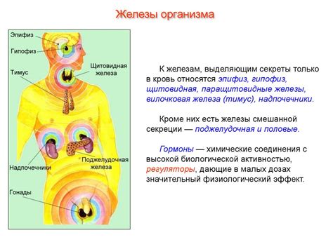 Роль эндокринной системы в организме