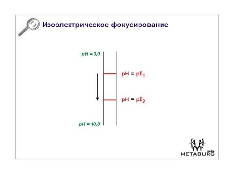 Роль pH-значения в изменении заряда белка