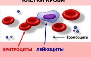 Роэ в крови: влияние на организм