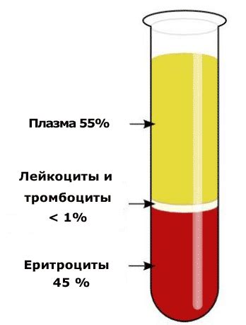 Роэ крови: значение для здоровья