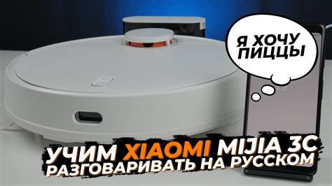 Руководство по включению русского языка в пылесосе Xiaomi Mi