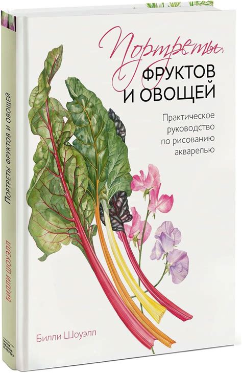 Руководство по рисованию фруктов: советы и рекомендации