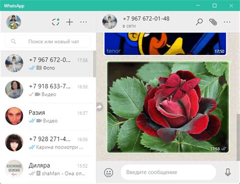 Ручная синхронизация с облаком WhatsApp