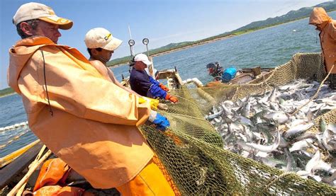 Рыбная промышленность в близлежащих водах рек и озер