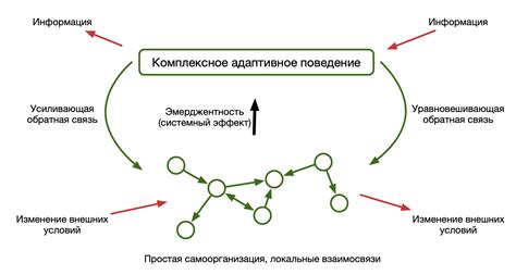 Саморегулирование и автономность