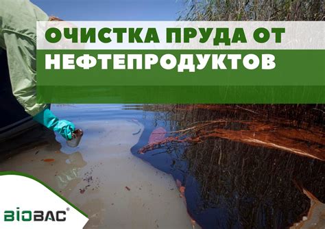 Самостоятельная очистка пруда от мусора