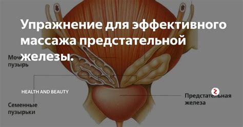 Самостоятельный массаж простаты: секреты и советы