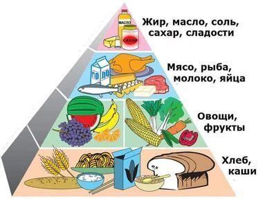 Сбалансированное питание для поддержания работы эндокринной системы