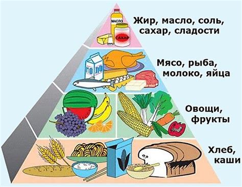 Сбалансированное питание на ужин для ребенка 11 месяцев