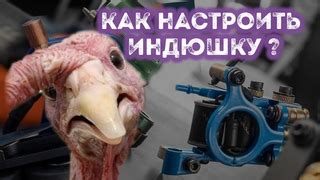 Сборка и декорирование машинки