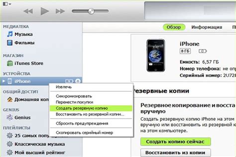 Сброс через iTunes