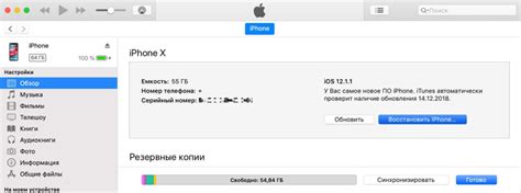 Сброс iPhone через iTunes: подробное руководство