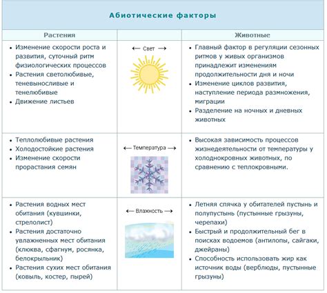 Свет и влияние на сезонный цикл