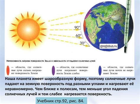 Свет и температура: оптимальные условия