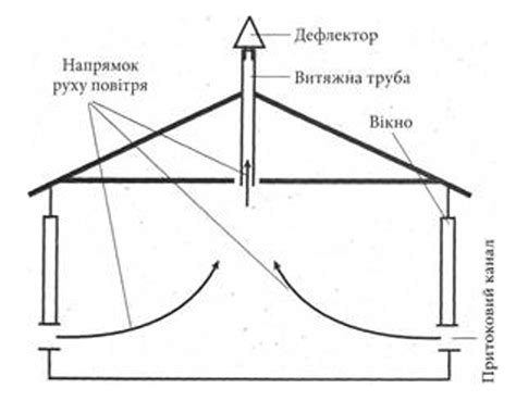 Свет и температура: условия идеального содержания